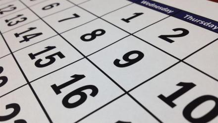 Mint : calendrier des publications financières en 2025