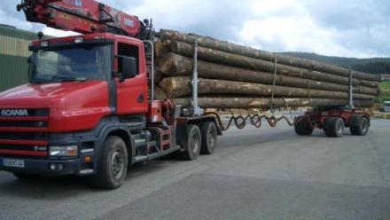 Moulinvest : le chiffre d'affaires annuel progresse de 4,2%