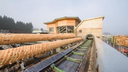 Moulinvest : résultats annuels en nette amélioration