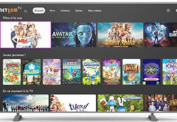 Netgem : petite baisse après les résultats