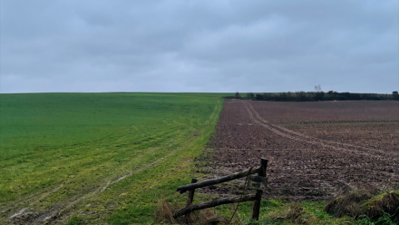Okwind : chiffre d'affaires semestriel en forte baisse