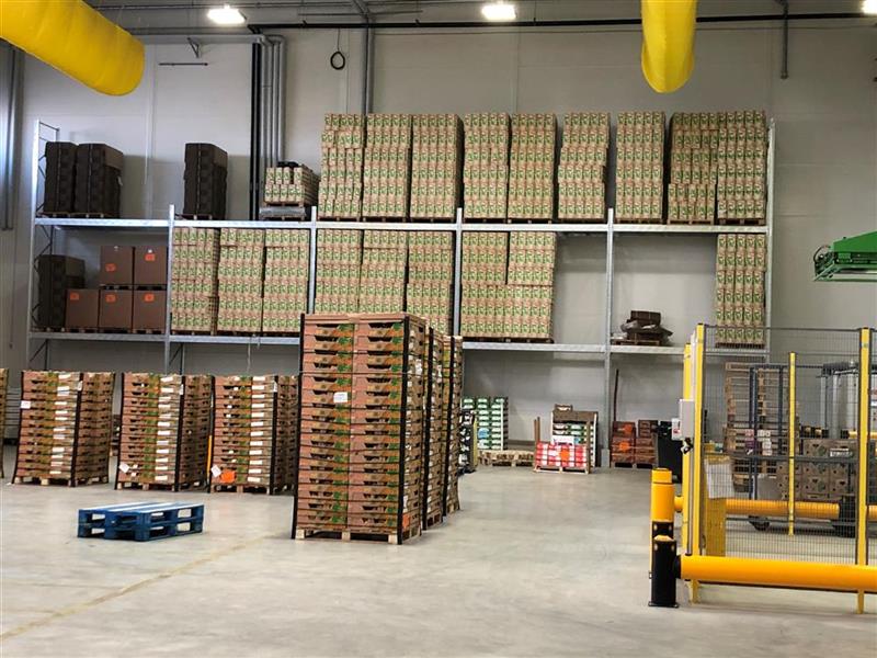 Omer-Decugis : bon démarrage au 1er trimestre