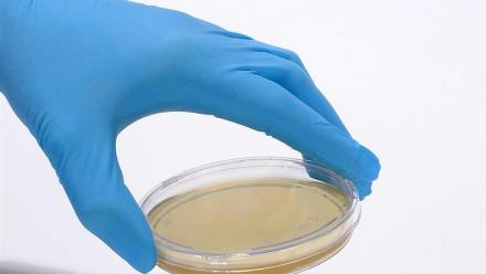 Oxford Nanopore et bioMérieux lancent AmPORE-TB