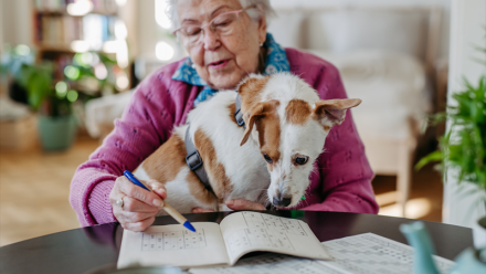 Pet Service Holding : à suivre en 2026