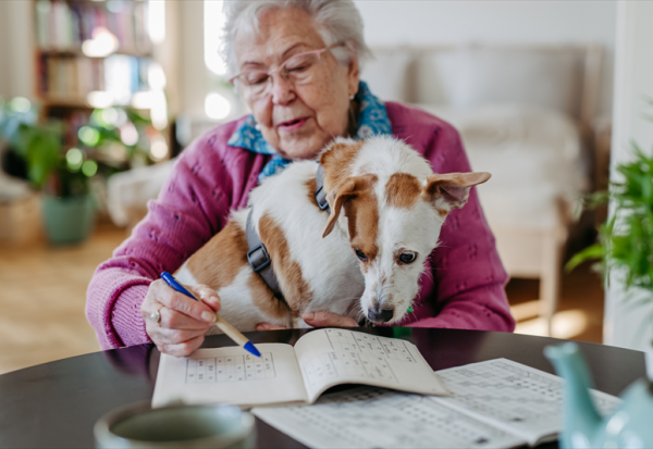 Pet Service Holding : baisse de la rentabilité au 1er semestre