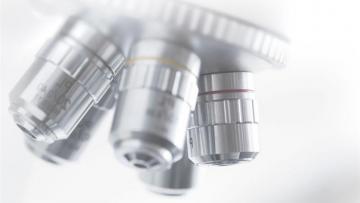 Poxel : bondit après l'annonce de la vente du PXL770 à la société américaine Scynexis