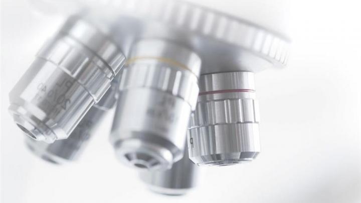 Poxel : bondit après l'annonce de la vente du PXL770 à la société américaine Scynexis