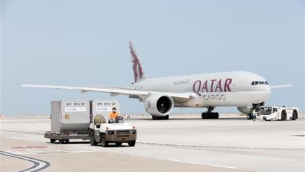 Qatar Airways : 150 avions gros-porteurs déjà équipés de la technologie Starlink
