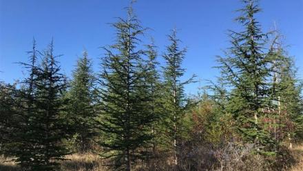 Quadient se déploie chez MedExpress au Royaume-Uni