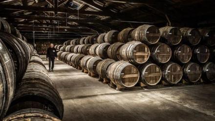 Remy Cointreau : vive hausse !