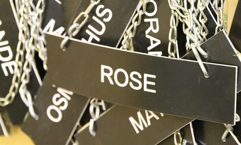 Robertet : bien orienté après les revenus annuels