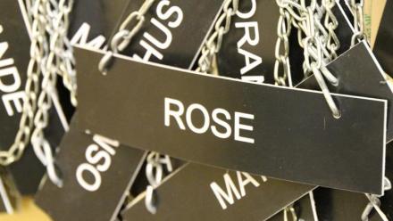 Robertet : grimpe après la présentation du nouveau plan stratégique