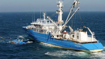 Sapmer renoue avec les bénéfices au 1er semestre 2025