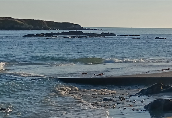 SIF Artois : repli des bénéfices