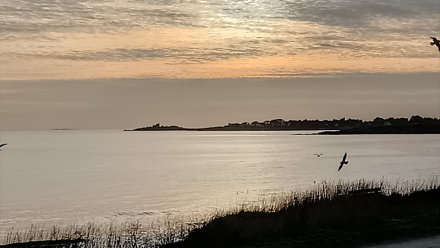 SMAIO renforce son Conseil scientifique nord-américain