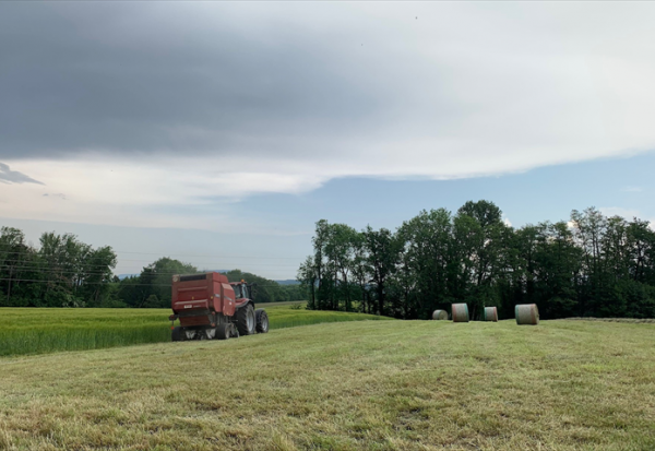 SWEN Capital Partners annonce le lancement de sa nouvelle stratégie à impact européenne via le fonds «SWEN Terra» dédié à l'agriculture régénératrice