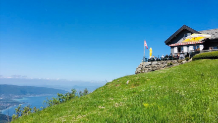 Televerbier vise plus de 5,5% de croissance du chiffre d'affaires pour l'exercice 2025-2026