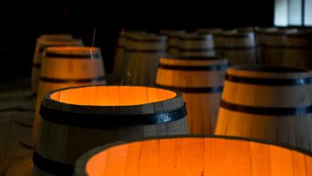 TFF Group : le chiffre d'affaires recule de plus de 25% sur 9 mois