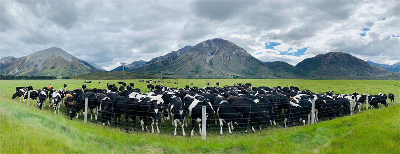 TotalEnergies : Saft et Genesis entament une nouvelle phase du projet BESS de Huntly