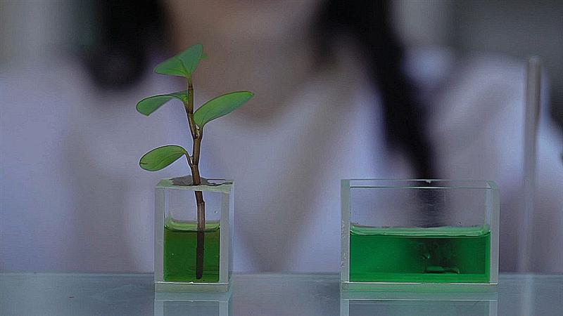 Valbiotis : un horizon de trésorerie à fin 2026