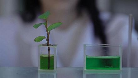 Valbiotis : un horizon de trésorerie à fin 2026