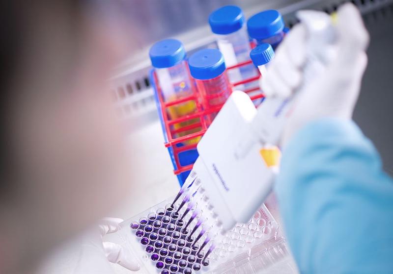 Valneva : +80% depuis le 1er janvier