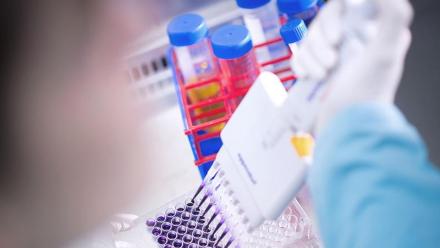 Valneva : bondit après de nouveaux résultats positifs pour le vaccin contre la maladie de Lyme