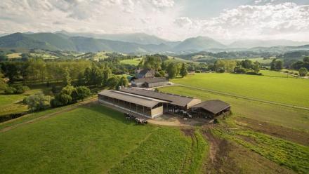 Virbac : publication bien accueillie