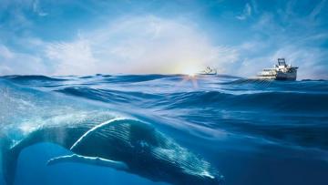 Viridien : en mode pause