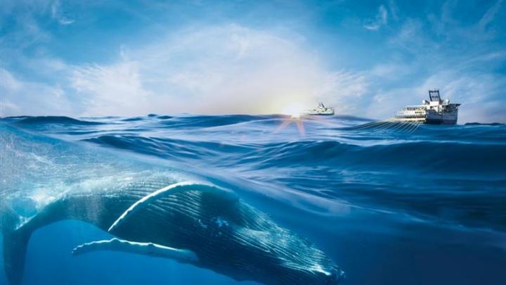 Viridien : en mode pause