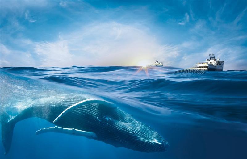 Viridien : gros décrochage !