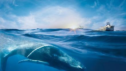 Viridien : vive hausse