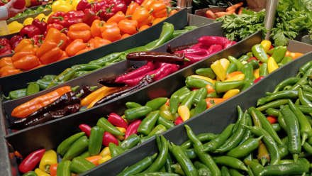 Walmart : des analystes en soutien