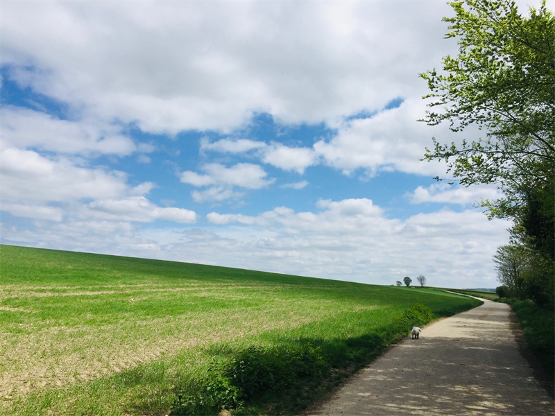 Winfarm obtient une ligne de crédit renouvelable de 5 ME