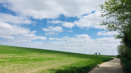 Winfarm obtient une ligne de crédit renouvelable de 5 ME