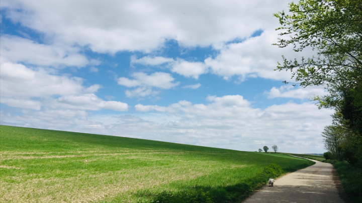 Winfarm obtient une ligne de crédit renouvelable de 5 ME