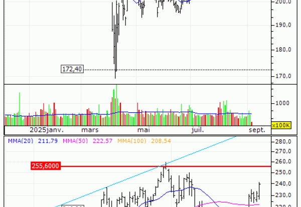 Apple Inc. : Désactivation du turbo put sur Apple (-75.5%) (GW23V)